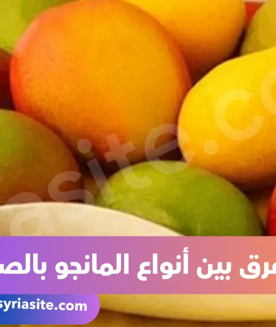 أنواع المانجو