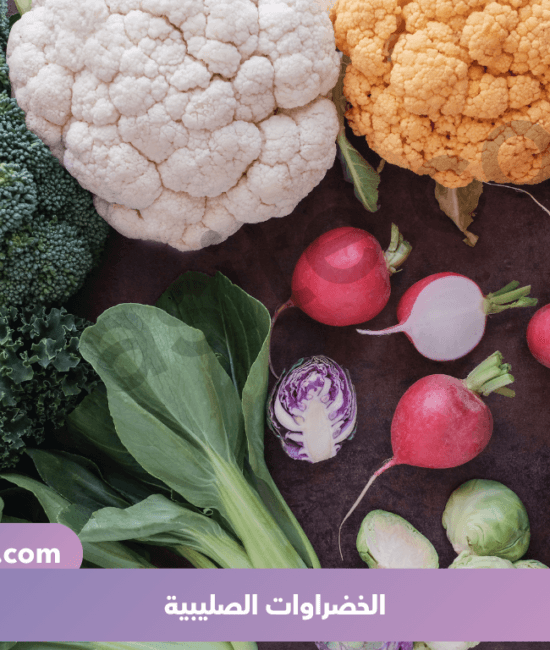 الخضراوات الصليبية