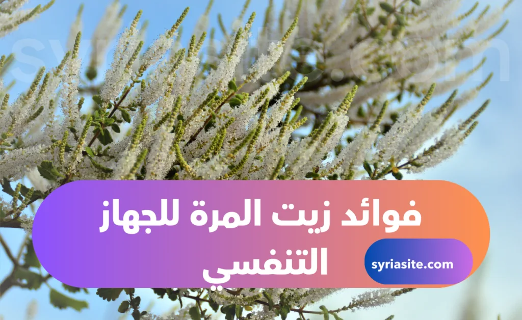 فوائد زيت المرة