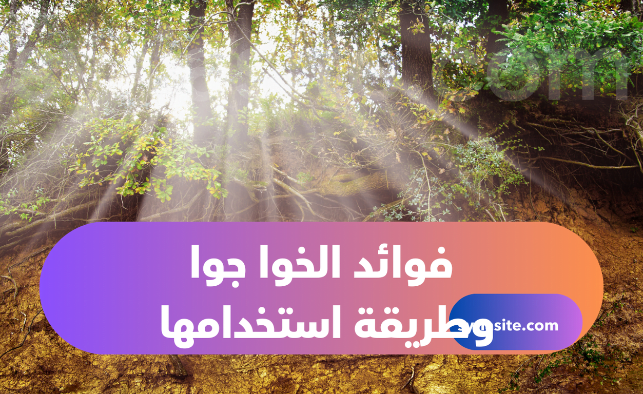 فوائد الخوا جوا:كنز طبيعي للصحة وإليك أهم 10