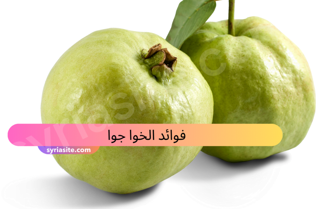 فوائد الخوا جوا:كنز طبيعي للصحة وإليك أهم 10