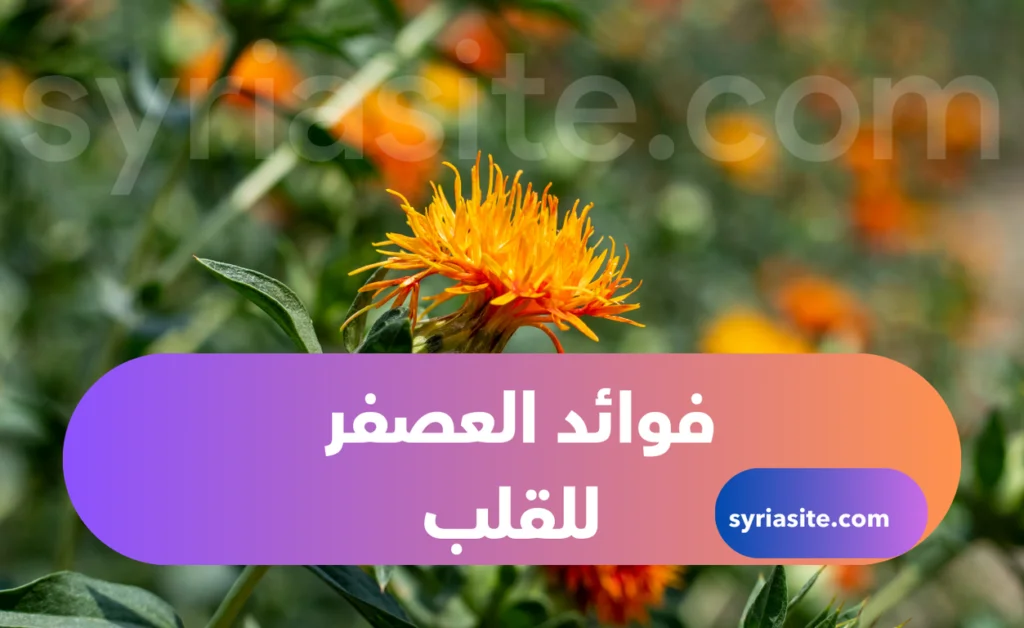 فوائد العصفر