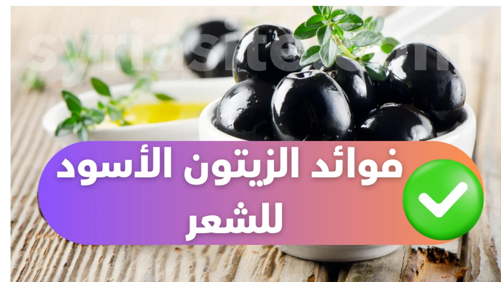 فوائد الزيتون الأسود للشعر