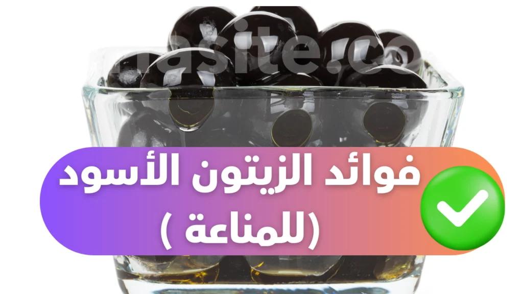 فوائد الزيتون الأسود للمناعة
