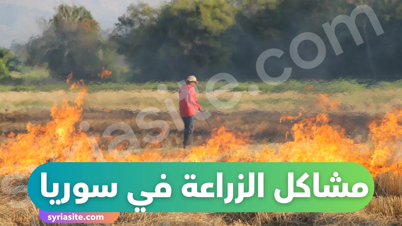 مشاكل الزراعة في سوريا