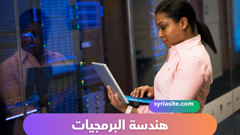 هندسة البرمجيات