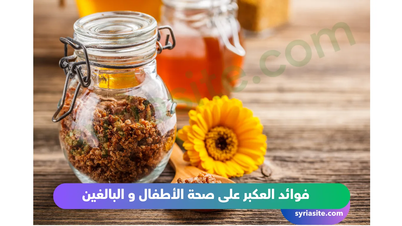 العكبر