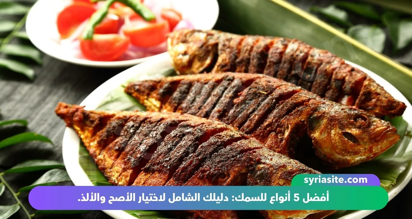 أفضل 5 أنواع للسمك: دليلك الشامل لاختيار الأصح والألذ