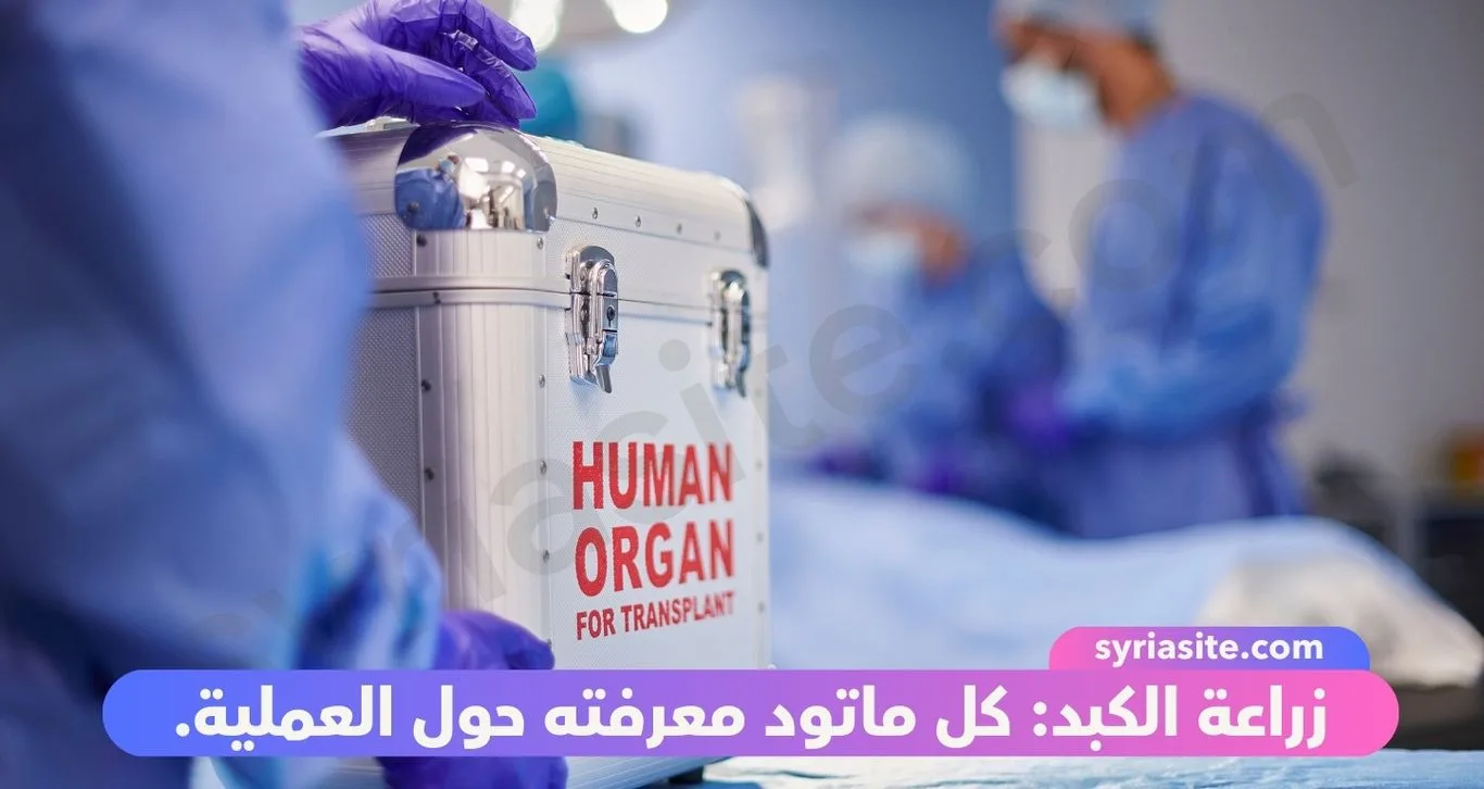 زراعة الكبد: كل ماتود معرفته حول العملية.