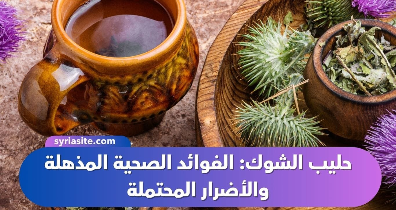 حليب الشوك: الفوائد الصحية المذهلة والأضرار المحتملة