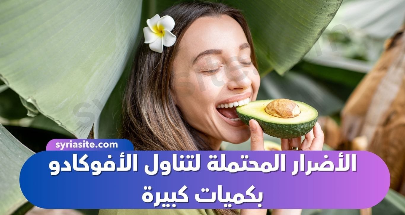 الأضرار المحتملة لتناول الأفوكادو بكميات كبيرة