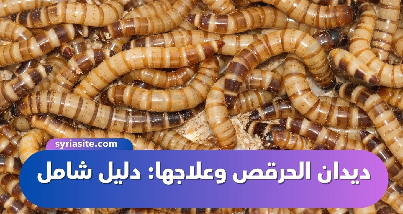 ديدان الحرقص وعلاجها: دليل شامل