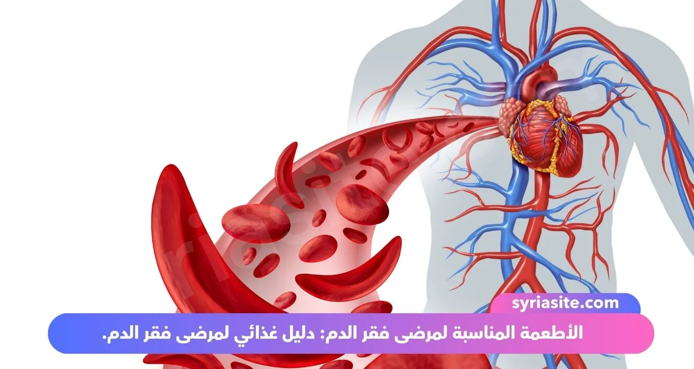 الأطعمة المناسبة لمرضى فقر الدم: دليل غذائي لمرضى فقر الدم.