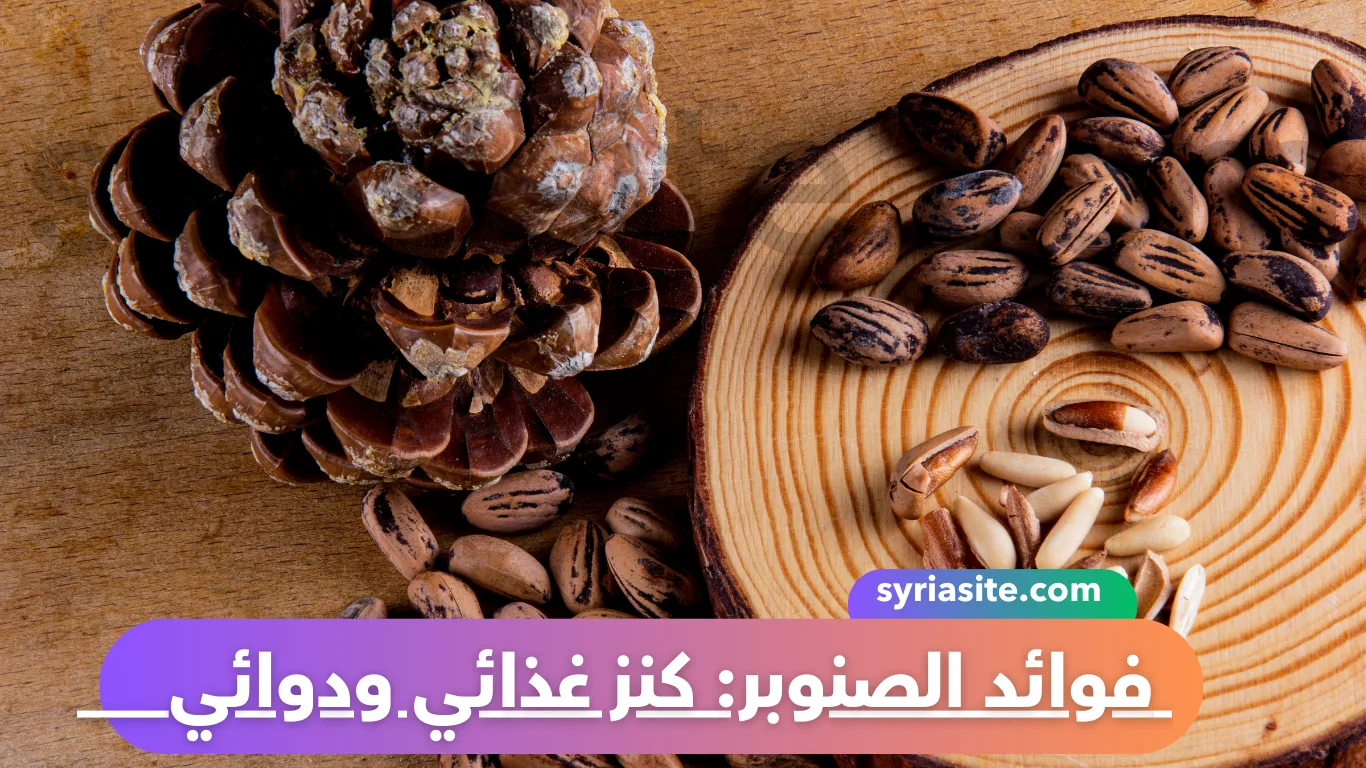 فوائد الصنوبر: كنز غذائي ودوائي