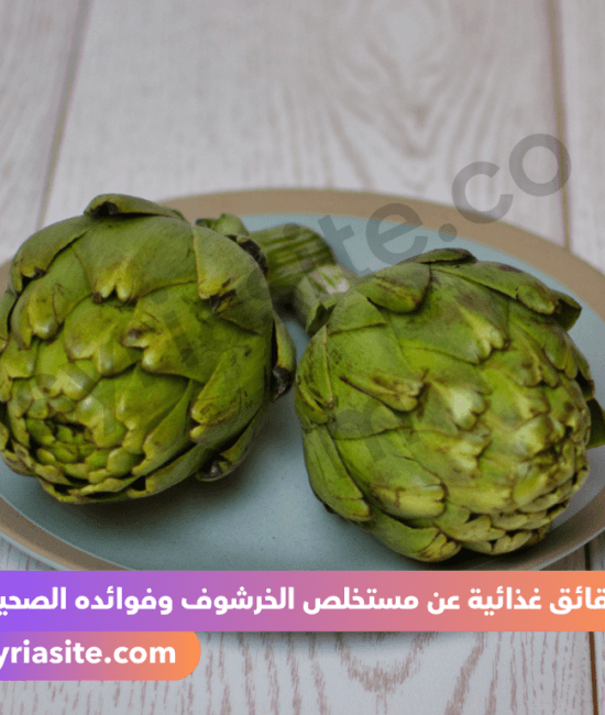 مستخلص الخرشوف