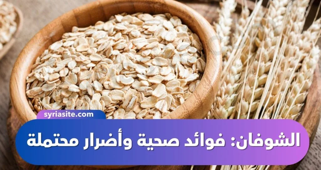 حبوب الشوفان: فوائد صحية وأضرار محتملة