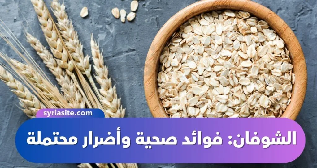 حبوب الشوفان: فوائد صحية وأضرار محتملة
