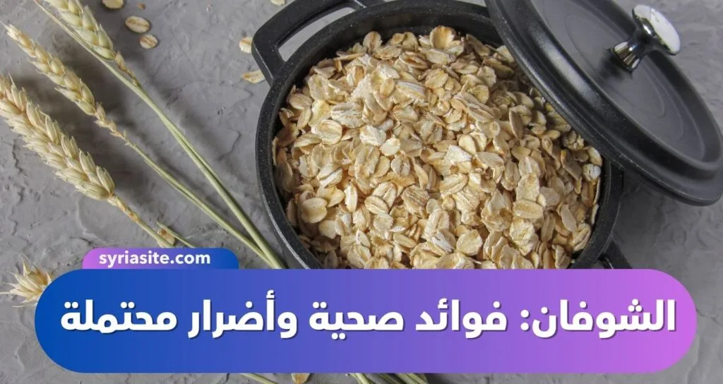 حبوب الشوفان: فوائد صحية وأضرار محتملة