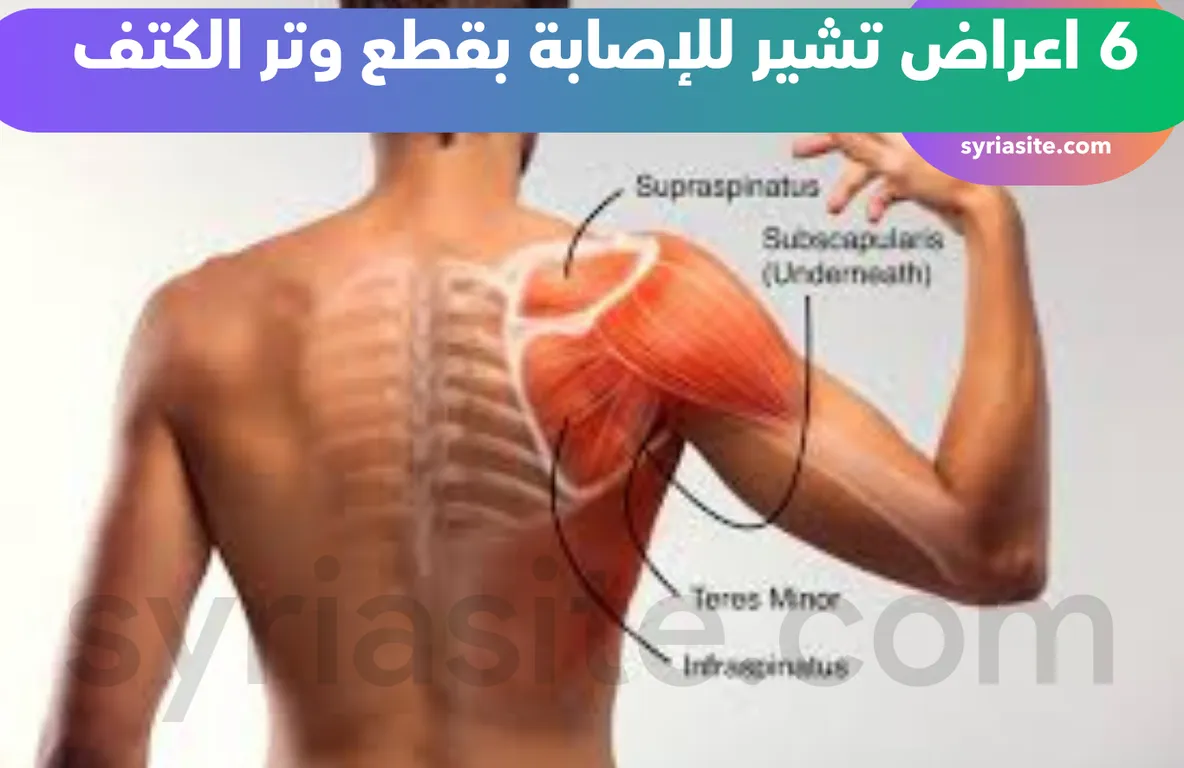 اعراض قطع وتر الكتف