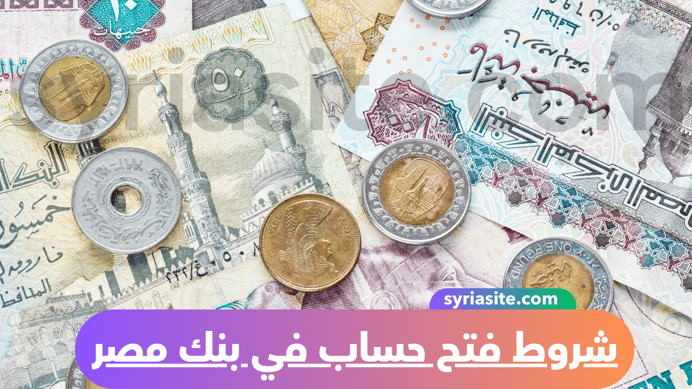 شركة ابن حيان للصناعات الدوائية (Ibn Hayyan Pharma)