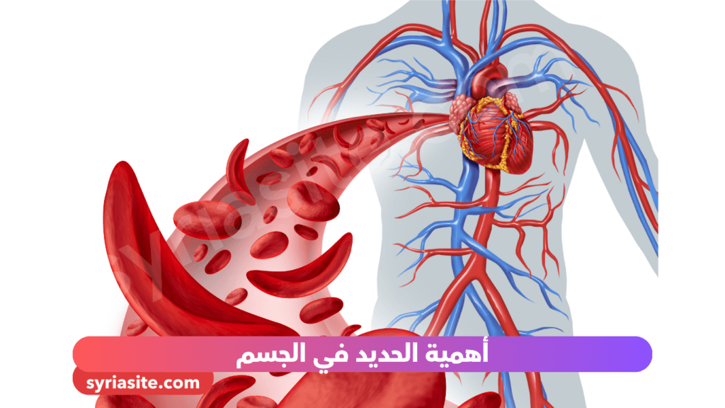 أهمية الحديد