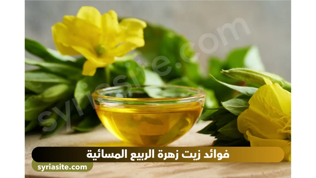 فوائد زيت زهرة الربيع المسائية