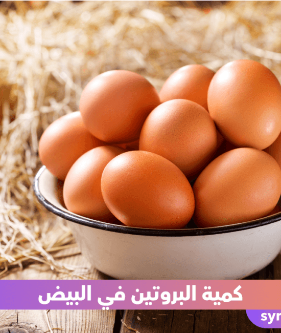 كمية البروتين في البيض
