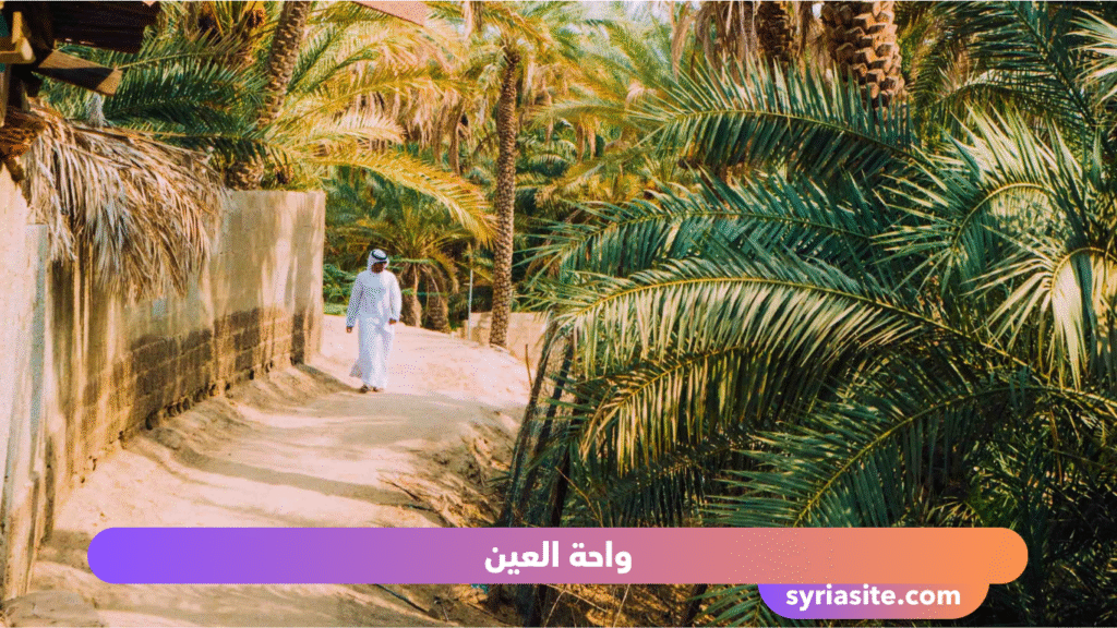مكان مذهل في الإمارات
