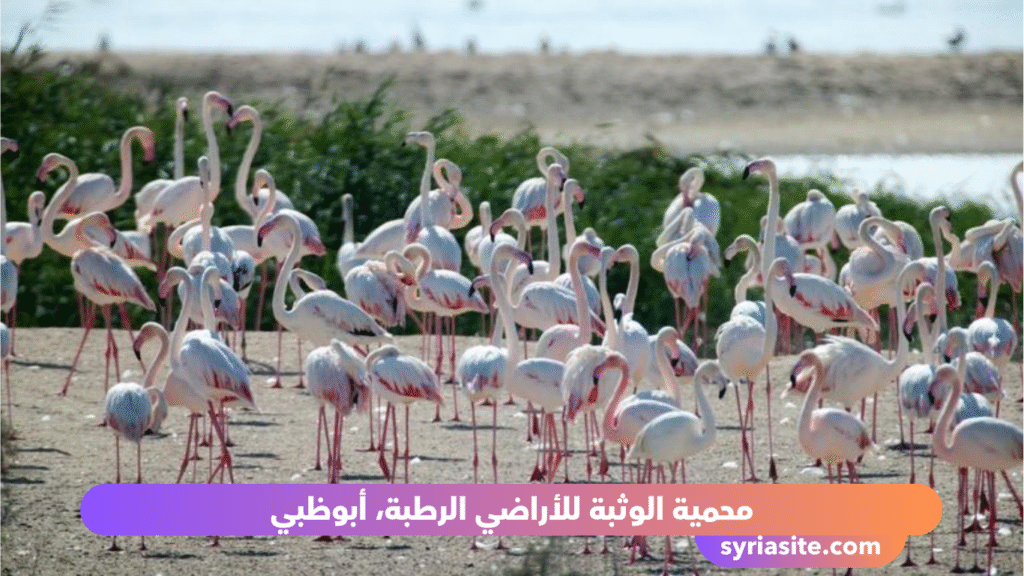مكان مذهل في الإمارات