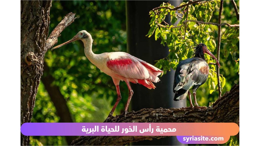 مكان مذهل في الإمارات