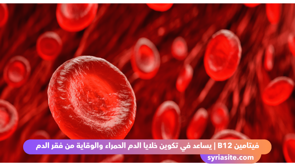أهمية فيتامين B12