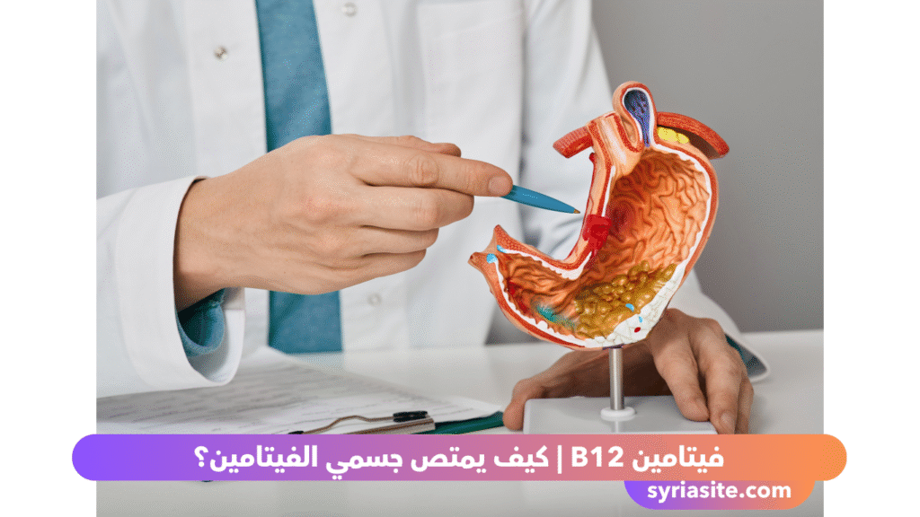 فيتامين B12