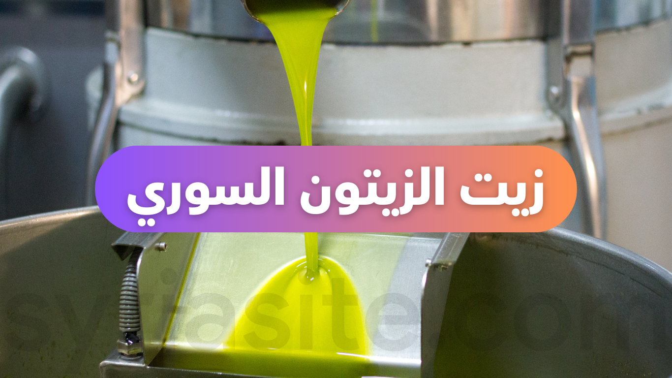 زيت الزيتون السوري