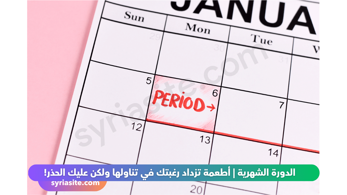 الدورة الشهرية