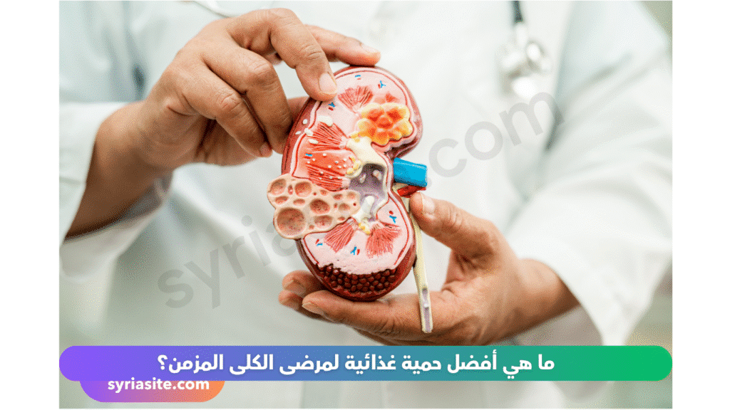 حمية غذائية لمرضى الكلى المزمن